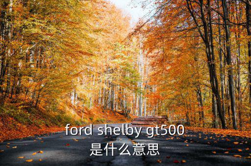東盟油500是什么，ford shelby gt500是什么意思