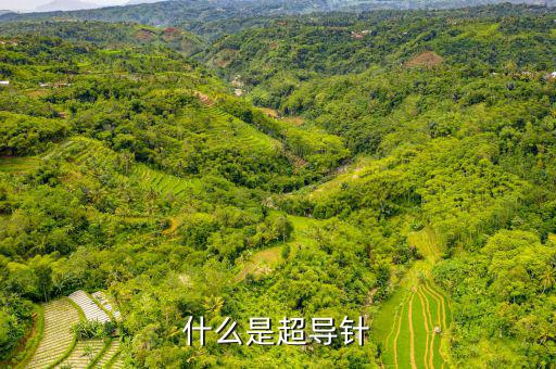射頻超導(dǎo)腔是什么，什么是超導(dǎo)針