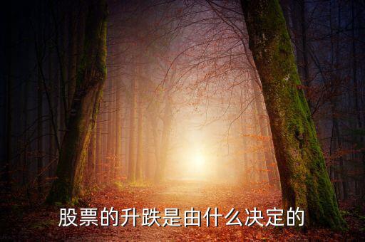 股票根據(jù)什么跌升，股票的升跌是由什么決定的