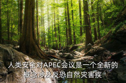 2014apec峰會(huì)簽署了什么文件，亞洲和太平洋地區(qū)經(jīng)濟(jì)合作會(huì)議簡(jiǎn)稱 APEC