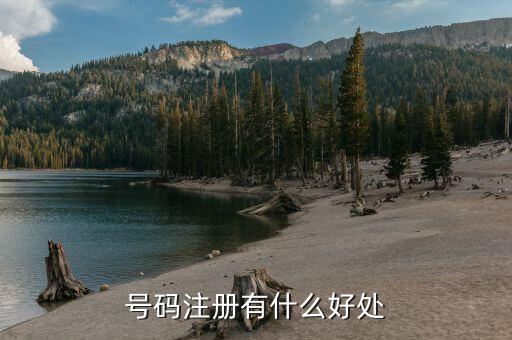 注冊制有什么好處，號碼注冊有什么好處