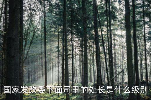 央企處長是什么級別，央企比如移動 電信 聯(lián)通 中石油石化 這些企業(yè)縣的老總是什么級別