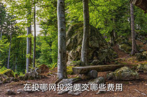 投哪網(wǎng)管理費(fèi)什么時(shí)候收取，投哪網(wǎng)收手續(xù)費(fèi)嗎