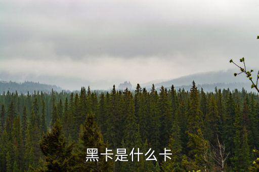 銀行卡黑卡是什么級別，黑卡是什么卡