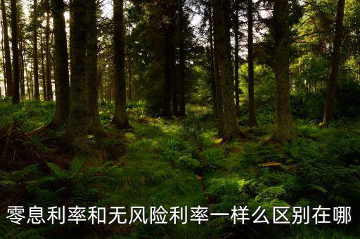 即期利率是什么，定期的利息和國期的利息是什么