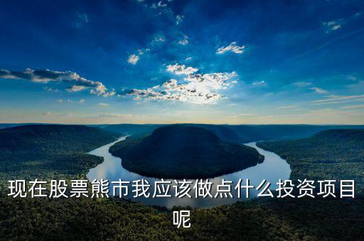 現(xiàn)在股票熊市我應(yīng)該做點什么投資項目呢