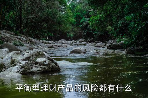 理才客戶風(fēng)險(xiǎn)平衡型是什么意思，平安銀行評估平衡型是什么意思