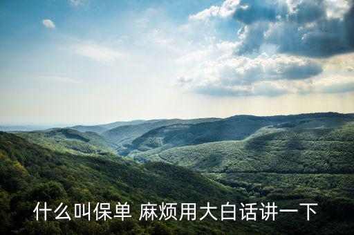什么是保單，什么是保單