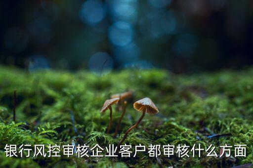 銀行風(fēng)控審核企業(yè)客戶(hù)都審核什么方面