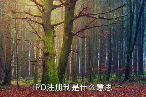 ipo注冊制是什么意思，IPO注冊制是什么意思和審批制有什么區(qū)別