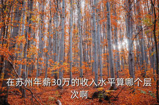 年薪三十萬元處于什么階層，在蘇州年薪30萬的收入水平算哪個(gè)層次啊