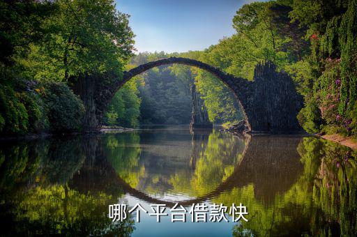 什么平臺(tái)容易借錢(qián)，什么借錢(qián)軟件容易借錢(qián)