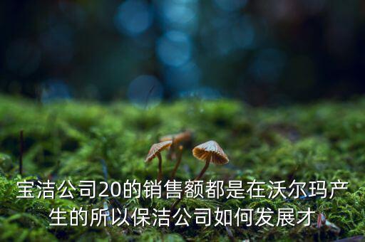 寶潔公司20的銷售額都是在沃爾瑪產生的所以保潔公司如何發(fā)展才