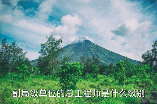 核安全總工程師是什么級(jí)別，總工程師是什么級(jí)別