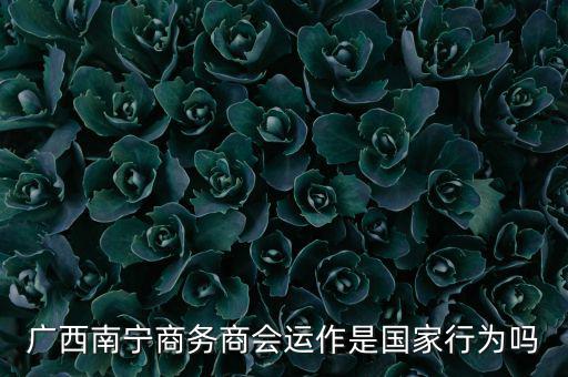 南寧什么時候打擊傳銷，廣西南寧有傳銷嗎