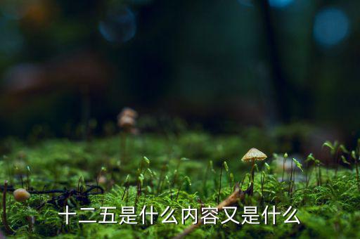 十二五干什么，十二五是什么內(nèi)容又是什么