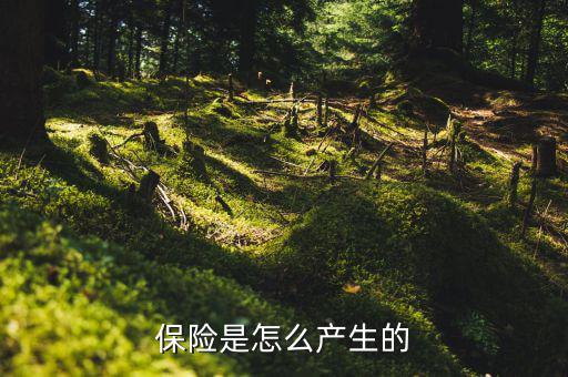 保險(xiǎn)的原理是什么，保險(xiǎn)是怎么產(chǎn)生的