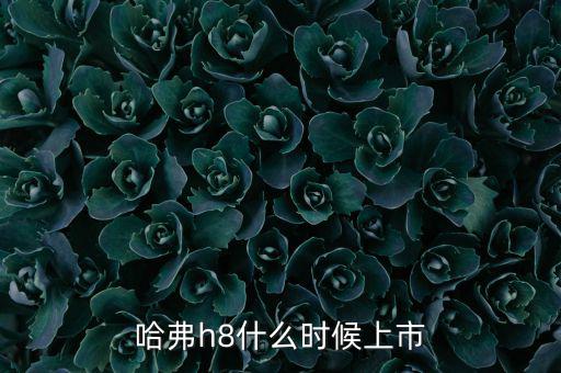 哈佛h8什么時候上市的，哈弗h8什么時候上市