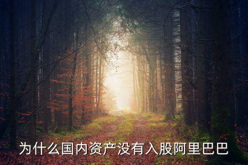 當(dāng)初為什么沒投阿里巴巴，為什么國內(nèi)資產(chǎn)沒有入股阿里巴巴