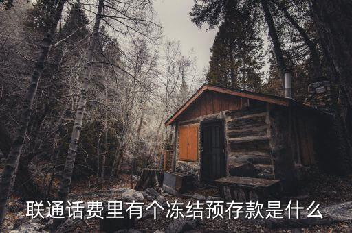 凍結預存款是什么意思，聯(lián)通話費里有個凍結預存款是什么