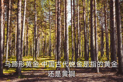 中國(guó)古代的黃金是什么，古代中國(guó)都使用了哪些金屬
