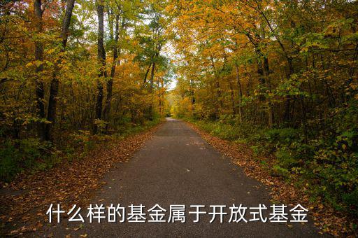 開放式基金是什么，什么叫做開放式基金