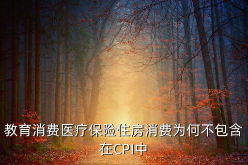 房價為什么不納入cpi，為什么在中國房價不算入CPI消費(fèi)水平也就是物價里面