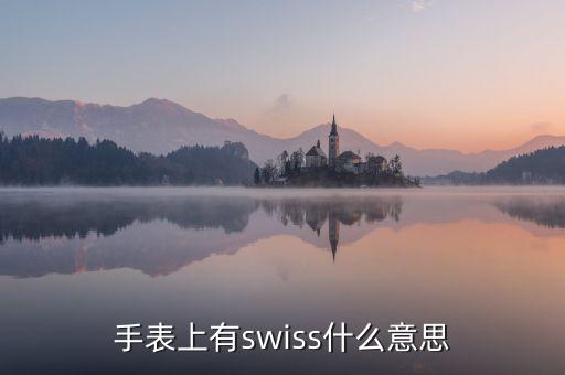 歐行手表什么意思，手表上有swiss什么意思