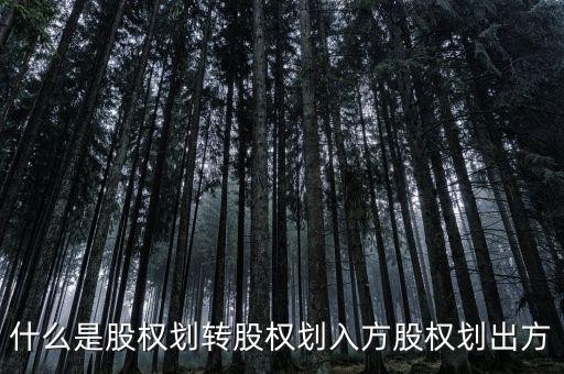 劃轉(zhuǎn)是什么意思，什么是股權(quán)劃轉(zhuǎn)股權(quán)劃入方股權(quán)劃出方