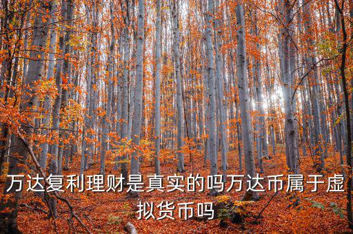 萬達(dá)貨幣是什么，萬達(dá)復(fù)利理財是真實的嗎萬達(dá)幣屬于虛擬貨幣嗎