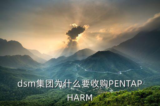 喜游國(guó)際被什么公司并購(gòu)，DSM據(jù)說收購(gòu)了一個(gè)特牛的公司是什么大家有知道的嗎