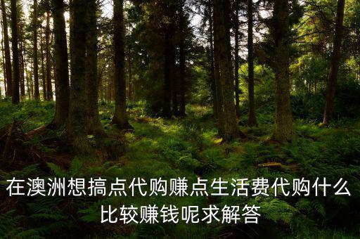國(guó)外代購(gòu)什么利潤(rùn)大，代購(gòu)什么產(chǎn)品最賺錢