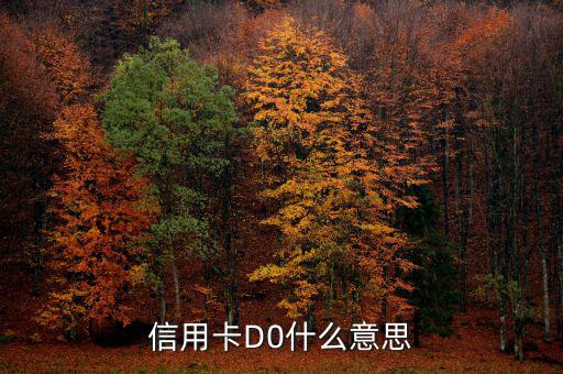 預付卡的贖回是什么意思，信用卡D0什么意思