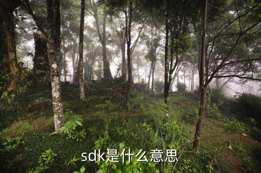 享游sdk是什么，sdk是什么意思