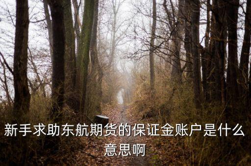 金保證財(cái)富管理和東航什么關(guān)系，國鼎旗下的可溯貸資金安全嗎