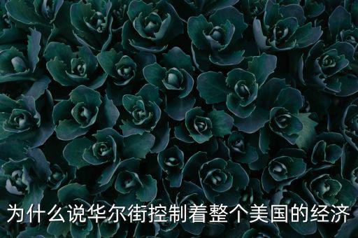 美國(guó)為什么離不開華爾街，為什么說(shuō)華爾街控制著整個(gè)美國(guó)的經(jīng)濟(jì)