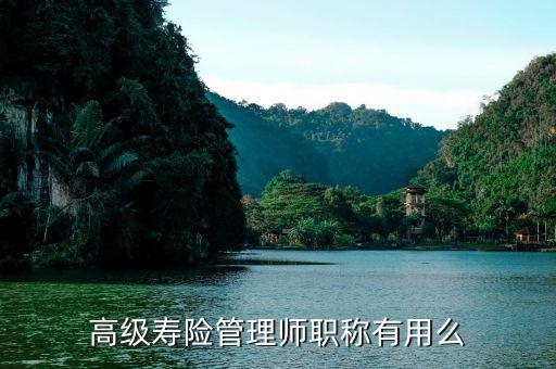 保險高管證有什么用，朋友讓我?guī)退急ｋU高管證說考過了我就是他公司的法人這兩個