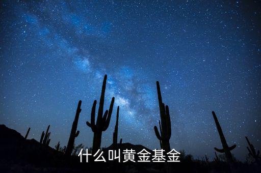 基金類型黃金型是什么意思，基金類型是黃金型所謂的黃金型是什么意思