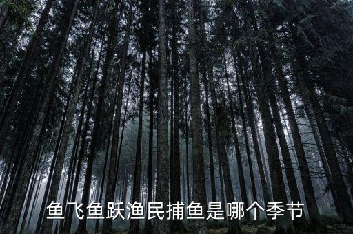 漁民捕魚一般是什么時候，魚飛魚躍漁民捕魚是哪個季節(jié)