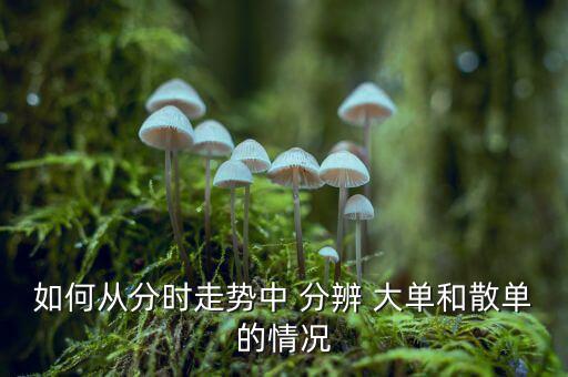 如何從分時走勢中 分辨 大單和散單的情況