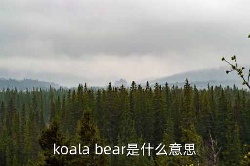 牛壓熊什么意思，tady bear是什么意思