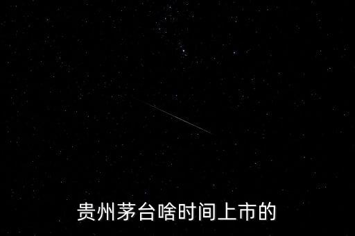 貴州茅臺什么時候上市，貴州茅臺啥時間上市的