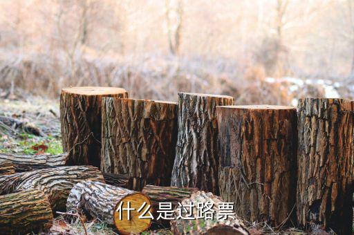 什么是過票行為，使用較消過的發(fā)票是什么行為