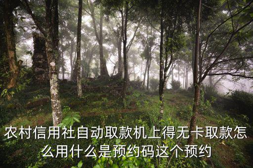 農(nóng)行預(yù)約碼是什么，農(nóng)商銀行預(yù)約取款預(yù)約碼是什么