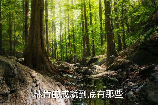 林肯的業(yè)績有什么，華盛頓林肯共同歷史功績