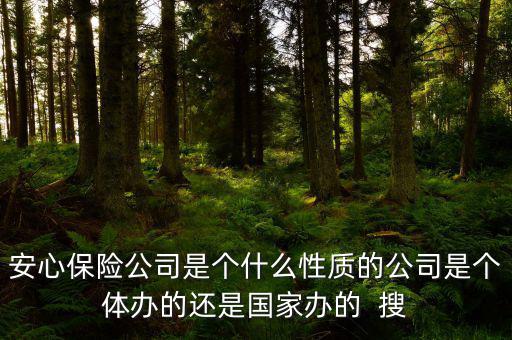 什么叫安心險，水滴籌的安心保險有保障嗎是怎么樣投保的投保后是多少錢呢