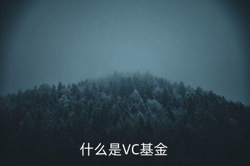 vc基金是什么，什么叫VC基金