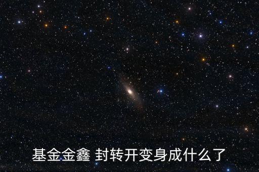 基金金鑫 封轉開變身成什么了