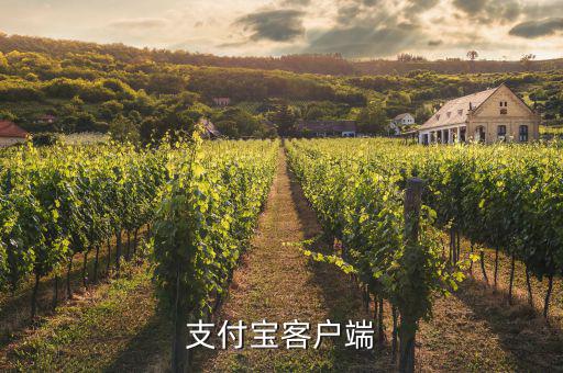 怎么查10年賬單怎么看,支付寶十年賬單查詢(xún)方式