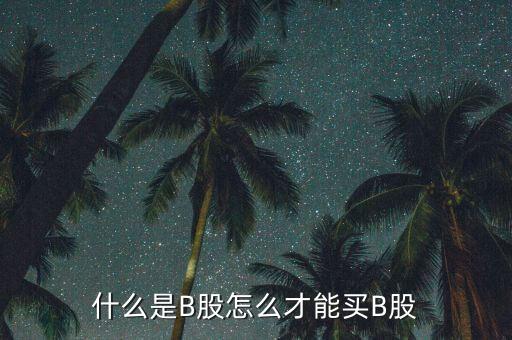 什么是b股賬戶，A股B股帳戶問題